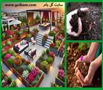 تصاویر نرم افزار