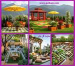 تصاویر نرم افزار