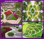 تصاویر نرم افزار