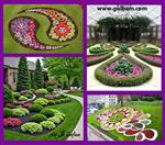تصاویر نرم افزار