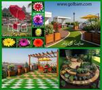 تصاویر نرم افزار